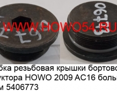 Пробка резьбовая крышки бортового редуктора HOWO 2009 AC16 большая 45MM (5406773) WG9981340003/Q150B0810