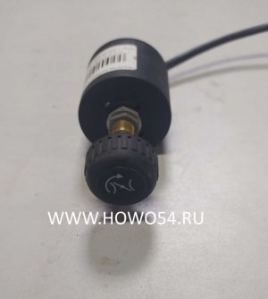 Регулятор ручного газа Евро 3 WG9725584011