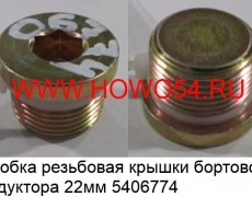 Пробка резьбовая крышки бортового редуктора STEYR 22MM (5406774) 90003098026/81.90310.0527