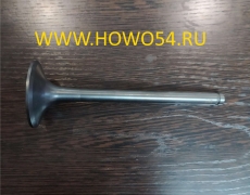 Клапан впускной Евро2 d-55 VG1560050042