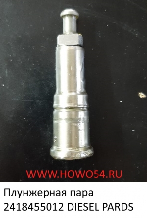 Плунжерная пара DIESEL PARDS 2418455012