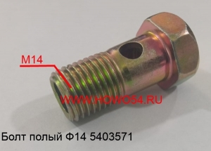 Болт полый Ф 14А8 D07623 Bosch (5403571) 90003962621