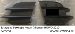 Заглушка бампера левая (чёрная) HOWO 2010 (5405654) WG1642241023