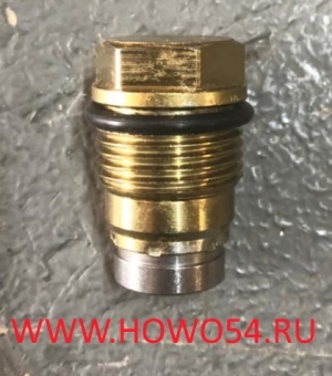 Клапан топливной рейки обратный WP10 Евро3 BOSCH (10722) 612630080306/1110010015/010028