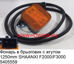 Фонарь в брызговик с жгутом 1250mm SHAANXI F2000/F3000 (5405559) 81252606101